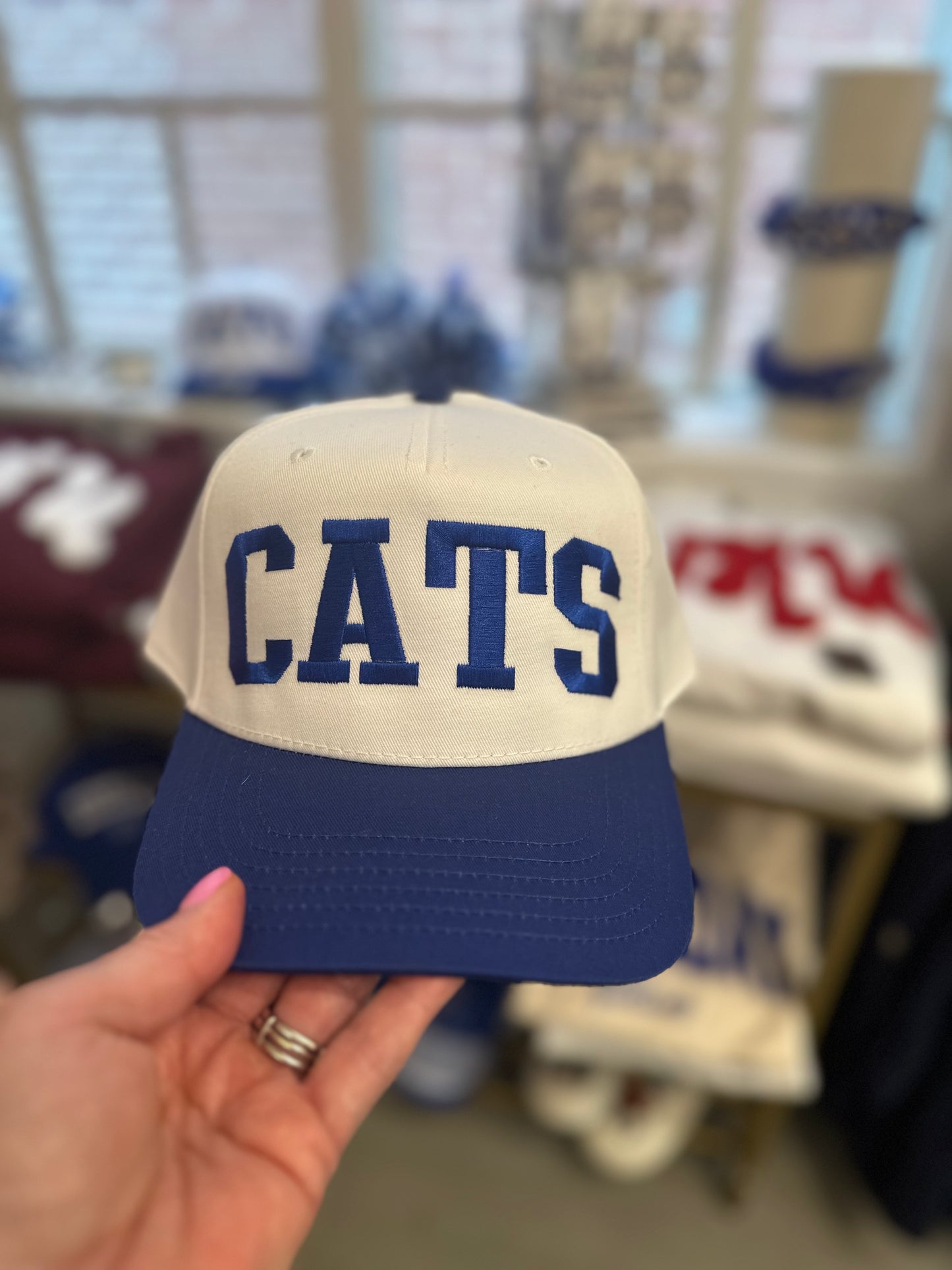Cats Blue and White Hat