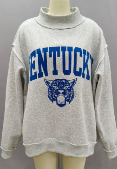 Wildcat Mock Neck Reversible Sweatshirt