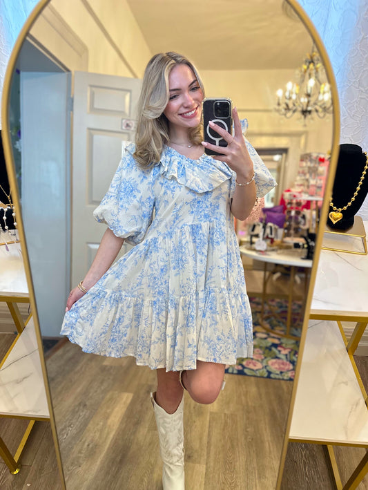 Evie Ruffled Vneck Mini Dress