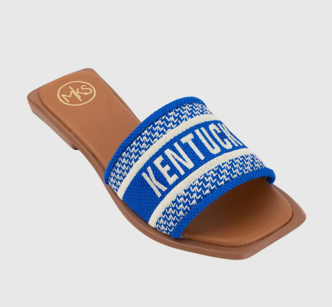 Kentucky Game Day Sandals